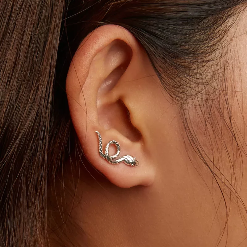 (afbeelding voor) Pandora Style Spirit Slang Oorknopjes - SCE1355 - Bekijken 8