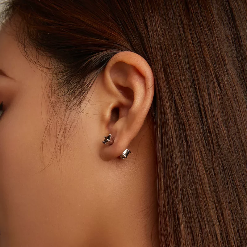 (afbeelding voor) Pandora Style Zwart Zirkonium Oorknopjes - SCE1325 - Bekijken 7