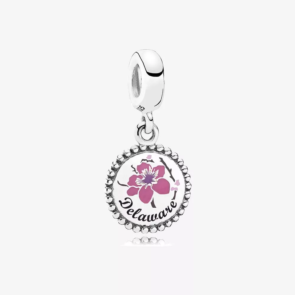 pandora delaware bedel eng791169_15